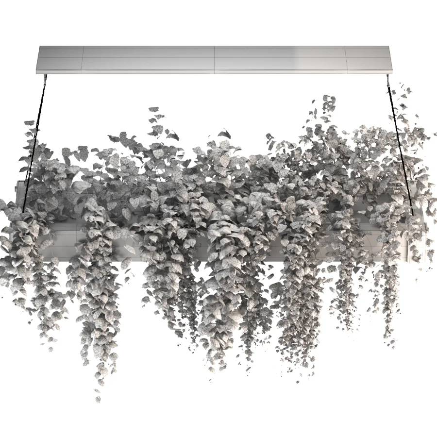 Hanging Plant 05 - Image 2