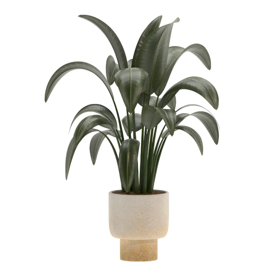 indoor-plant-025 - Image 3