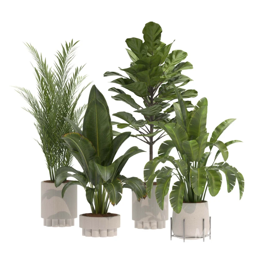 indoor-plant-014 - Image 2