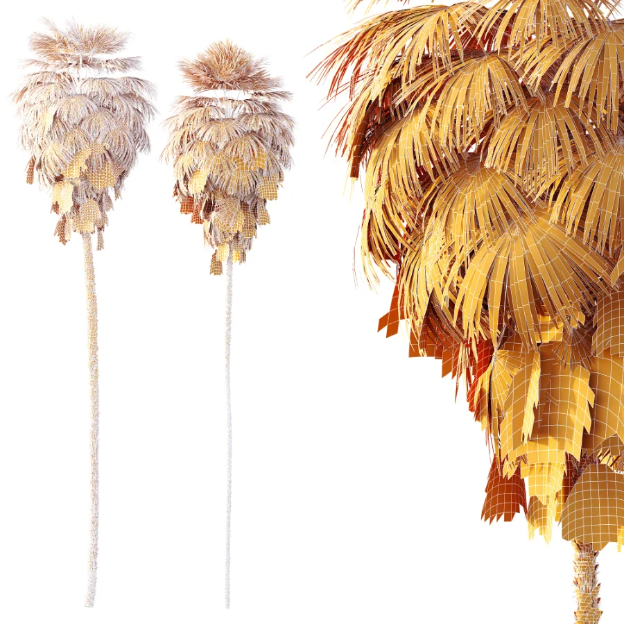 AV Plant Washingtonia Robusta Palm Tree 01 - Image 7