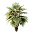 AV Plant Pritchardia Pacifica Palm Tree 03 - Thumbnail 4