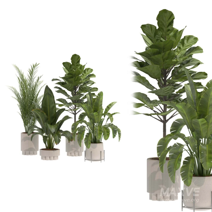 indoor-plant-014 - Image 1