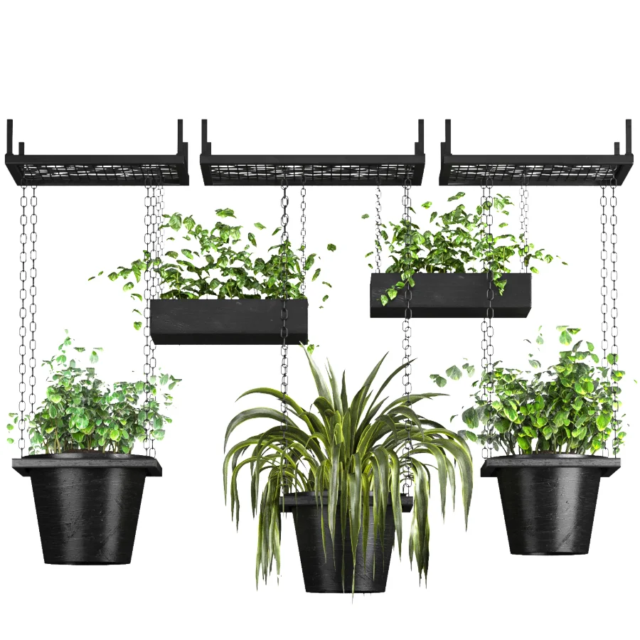 Hanging Plant 04 - Image 2