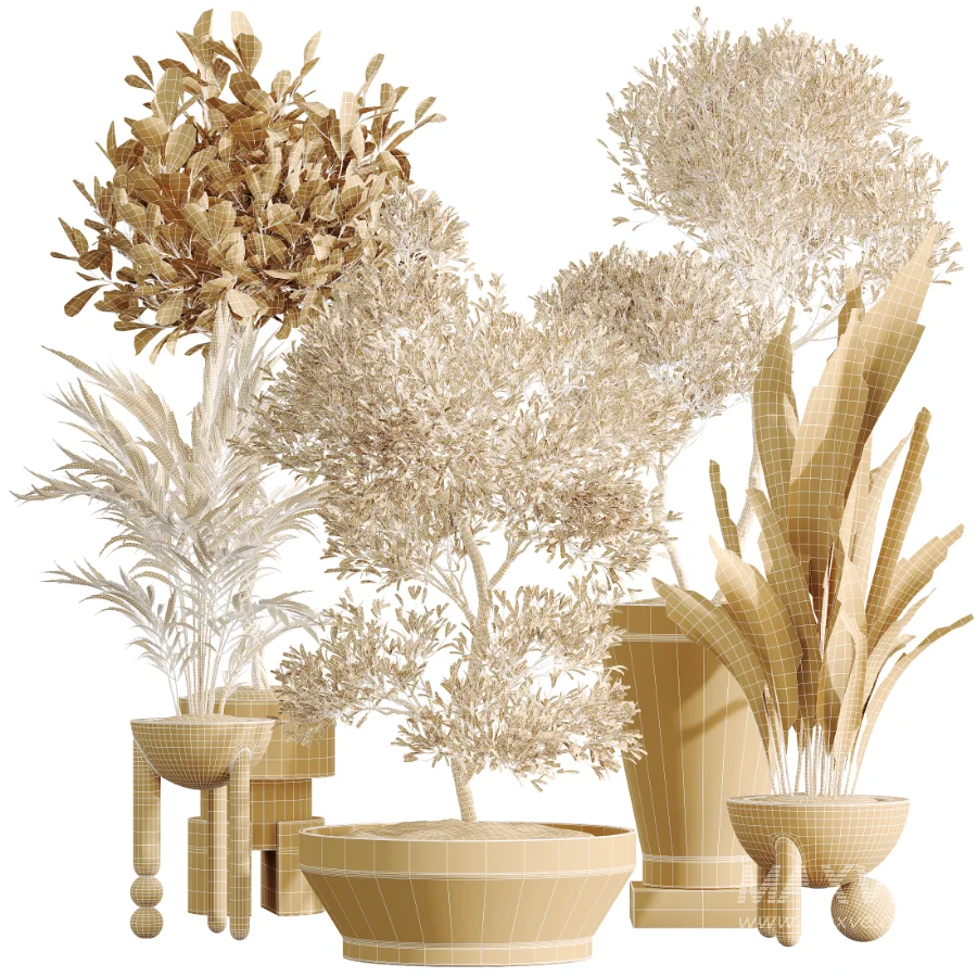AV Indoor Plants Set 526 Aspidistra Elatior Olive Ficus Palm - Image 8