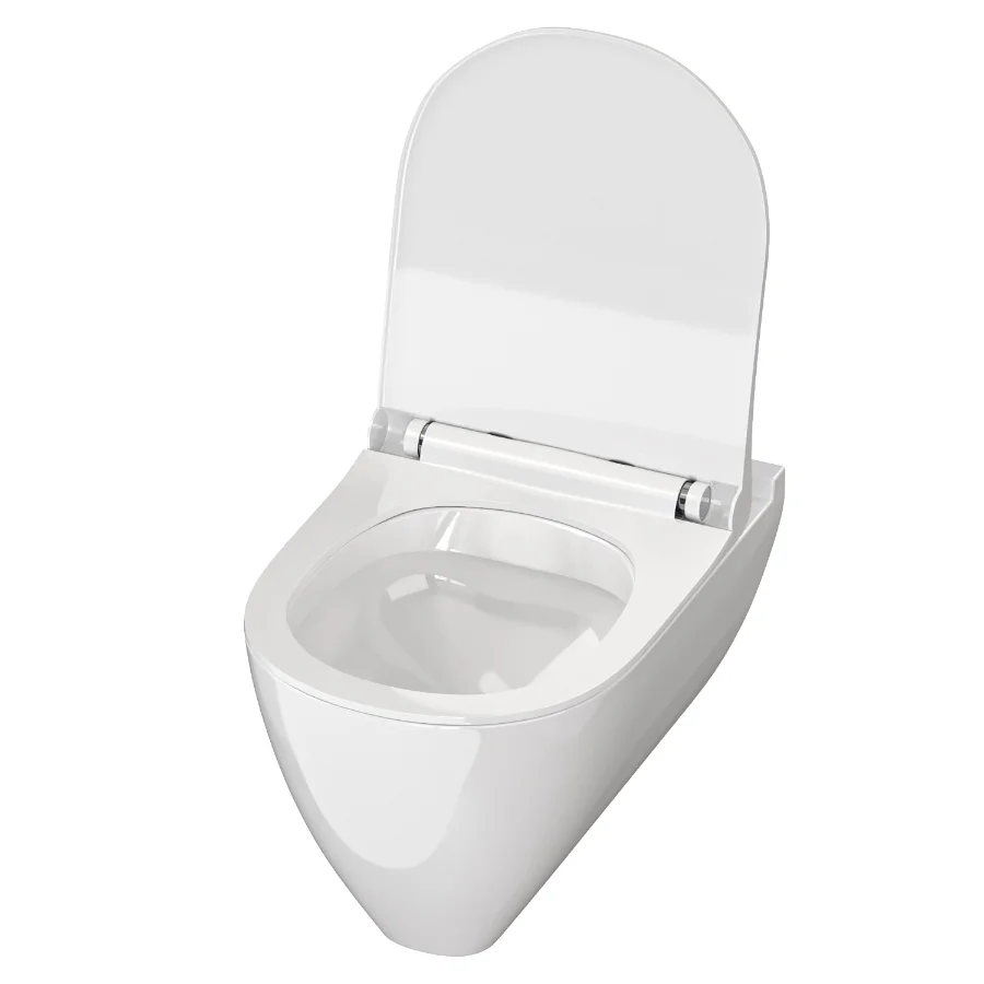 Modern Toilet 01 - Image 2