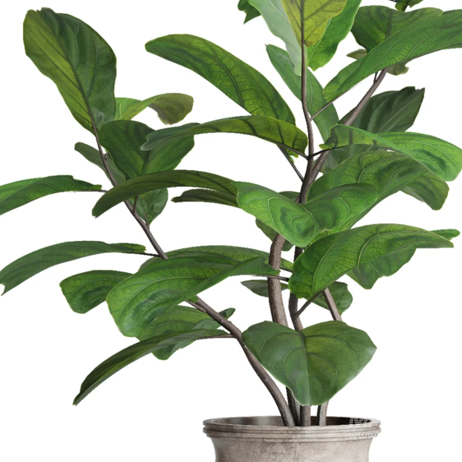 Verdant Harmony Planter 061 - Image 4