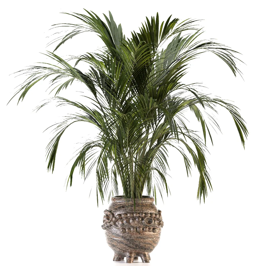 Plant Set 14 - Image 2