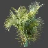AV Plant Chrysalidocarpus Lutescens Palm Bush 02 - Thumbnail 7