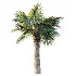 AV Plant Bismarckia Nobilisi Palm Tree 01 - Thumbnail 2