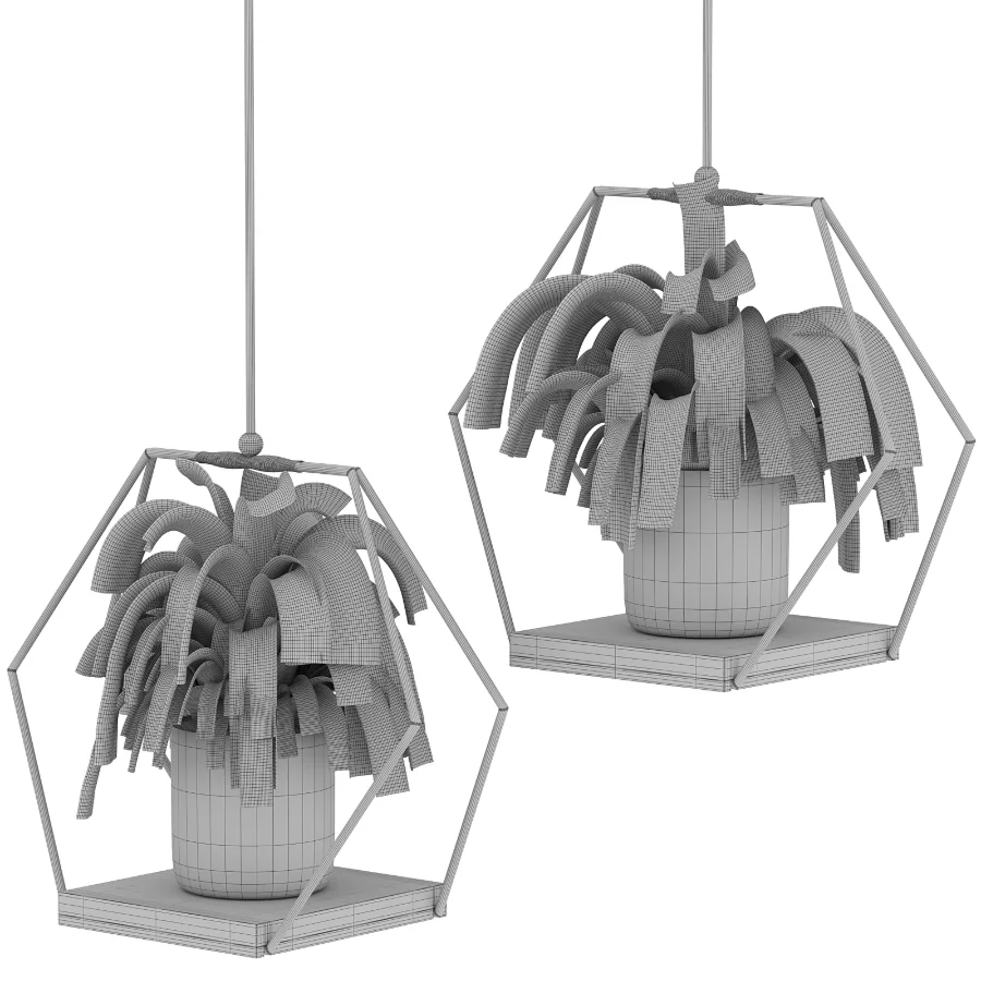 Hanging Plant 06 - Image 2
