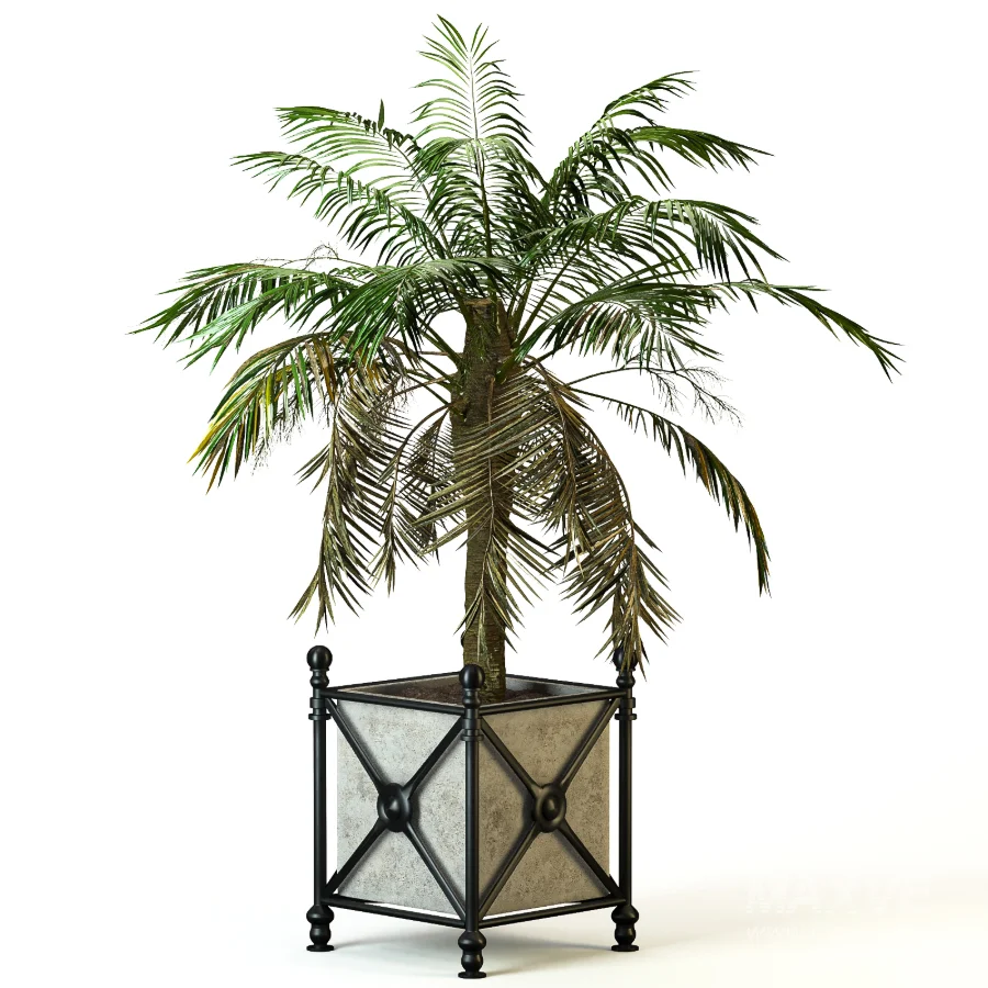 Outdoor Plant 04 – Palm Tree Planter - Image 2