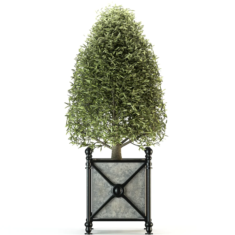Outdoor Plant 05 - Image 1