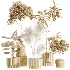 AV Indoor Plants Set 617 Orange Calamondin Tree Spineless Yucca and African Fig Ruffled Fan Palm - Thumbnail 6