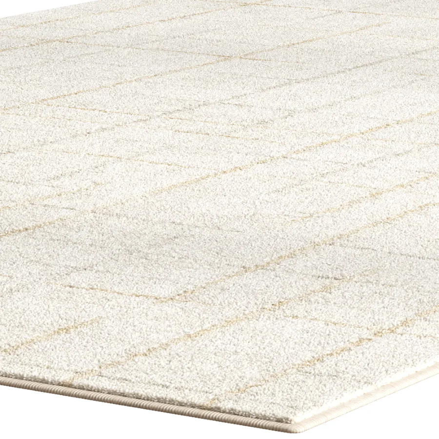 Carpet for interior - Image 3