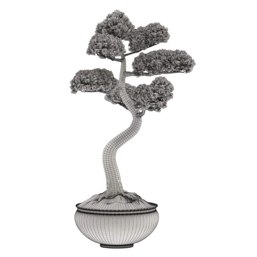 Pine Bonsai Tree-set-003 - Image 3