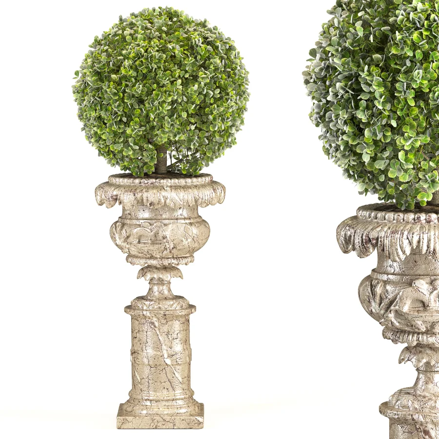 Outdoor Plant 06 – Neoclassical Style - Image 1