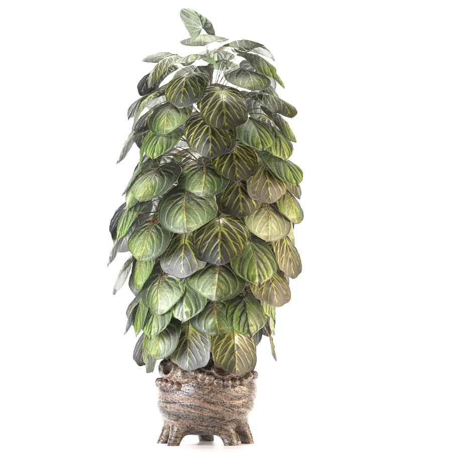 Plant Set 14 - Image 1
