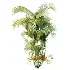 AV Plant Chrysalidocarpus Lutescens Palm Bush 01 - Thumbnail 3
