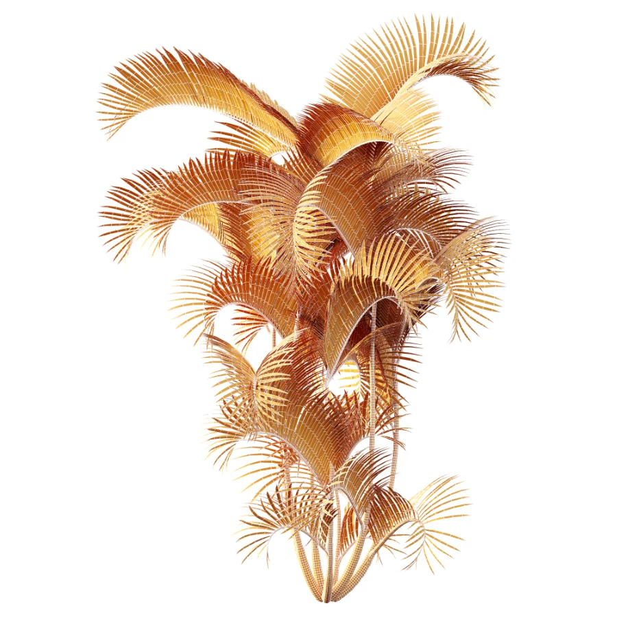 AV Plant Chrysalidocarpus Lutescens Palm Bush 01 - Image 9