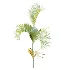 AV Plant Chrysalidocarpus Lutescens Palm Bush 02 - Thumbnail 3