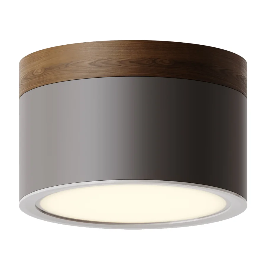 Surface mounted spotlight Model RD-0206 - Image 2