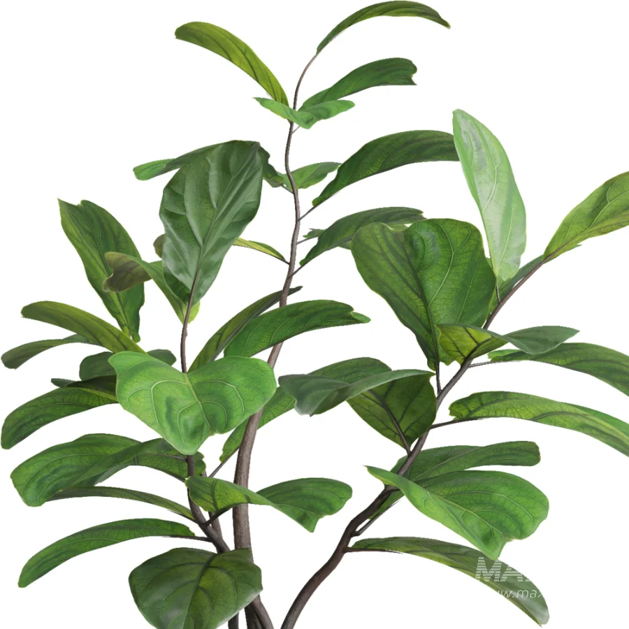 Verdant Harmony Planter 061 - Image 5