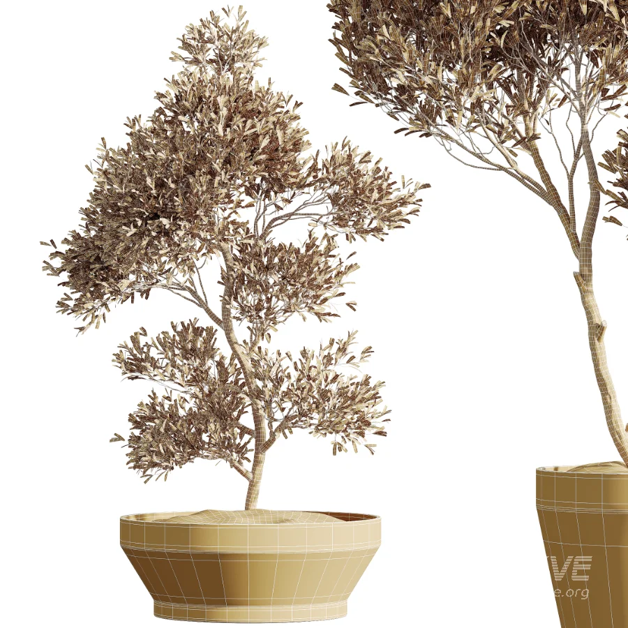 AV Indoor Plants Set 526 Aspidistra Elatior Olive Ficus Palm - Image 7