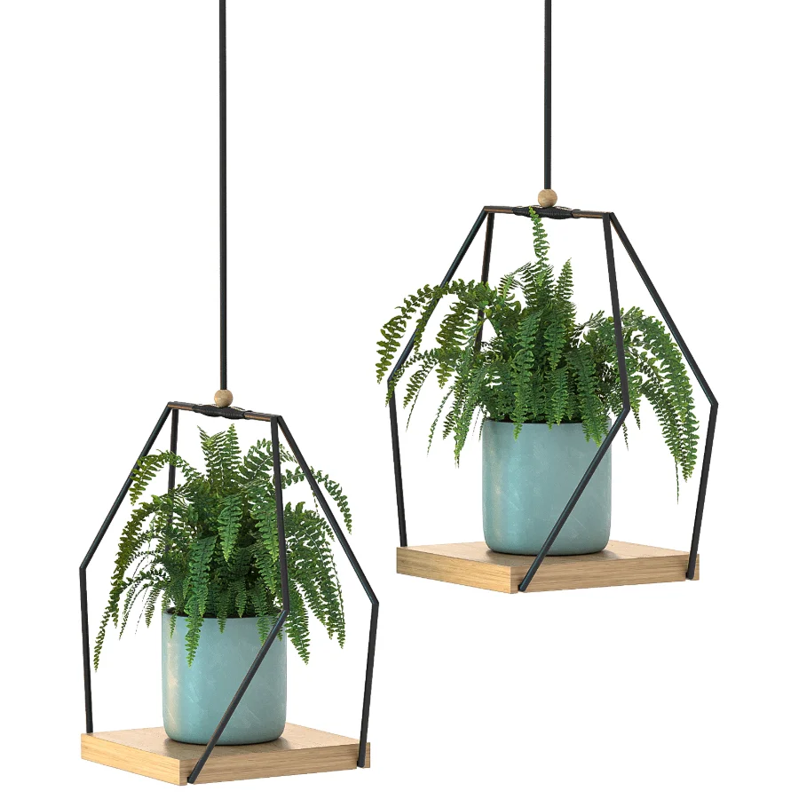 Hanging Plant 06 - Image 1