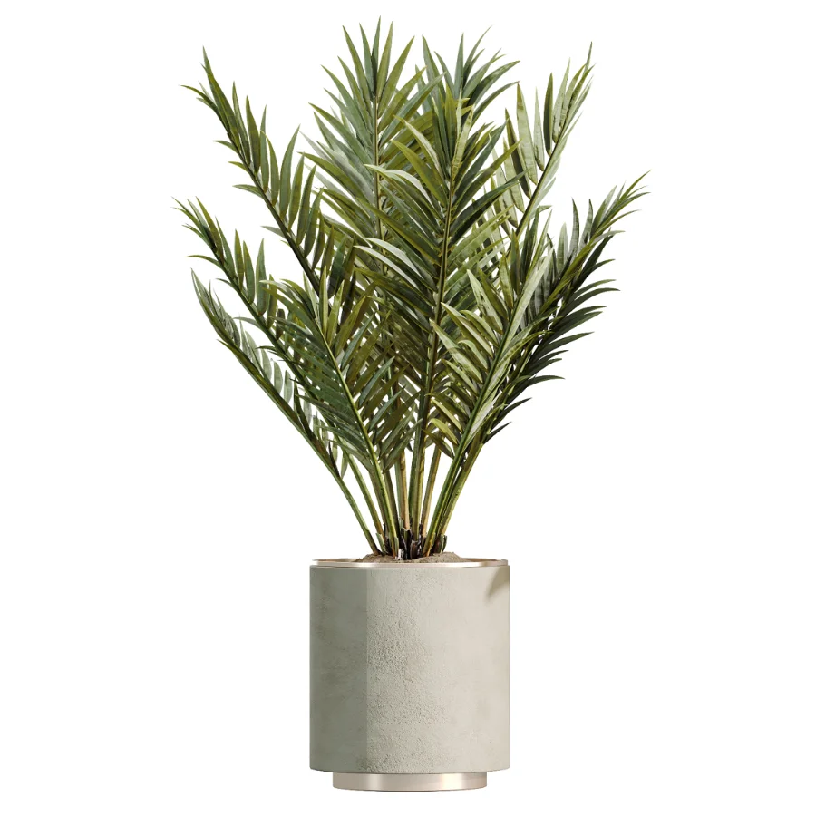 AV Indoor Plants Set 604 Banana Cyara Areca Palm Ficus microcarpa Olive - Image 5