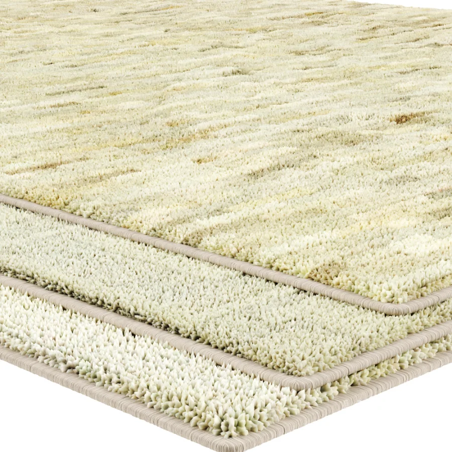 Carpet - Image 1