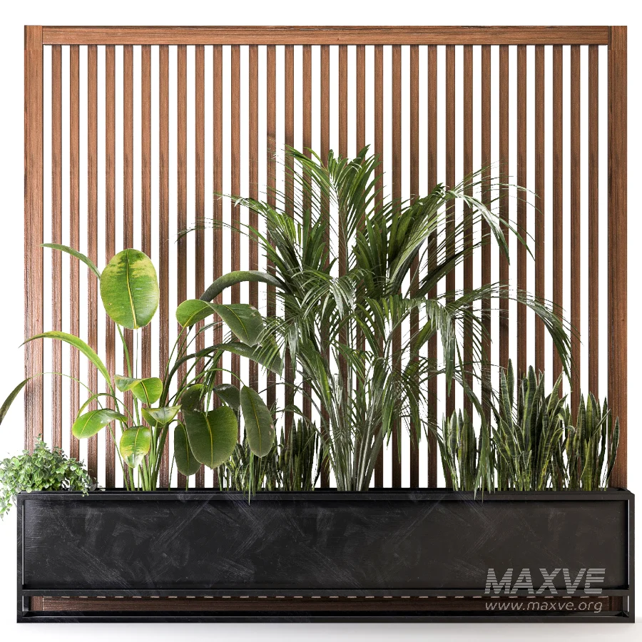 Room Divider Planter 03 – Wooden Panel with Plants - Image 2