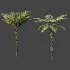 AV Plant Alsophila Spinulosa Fern Tree 01 - Thumbnail 4