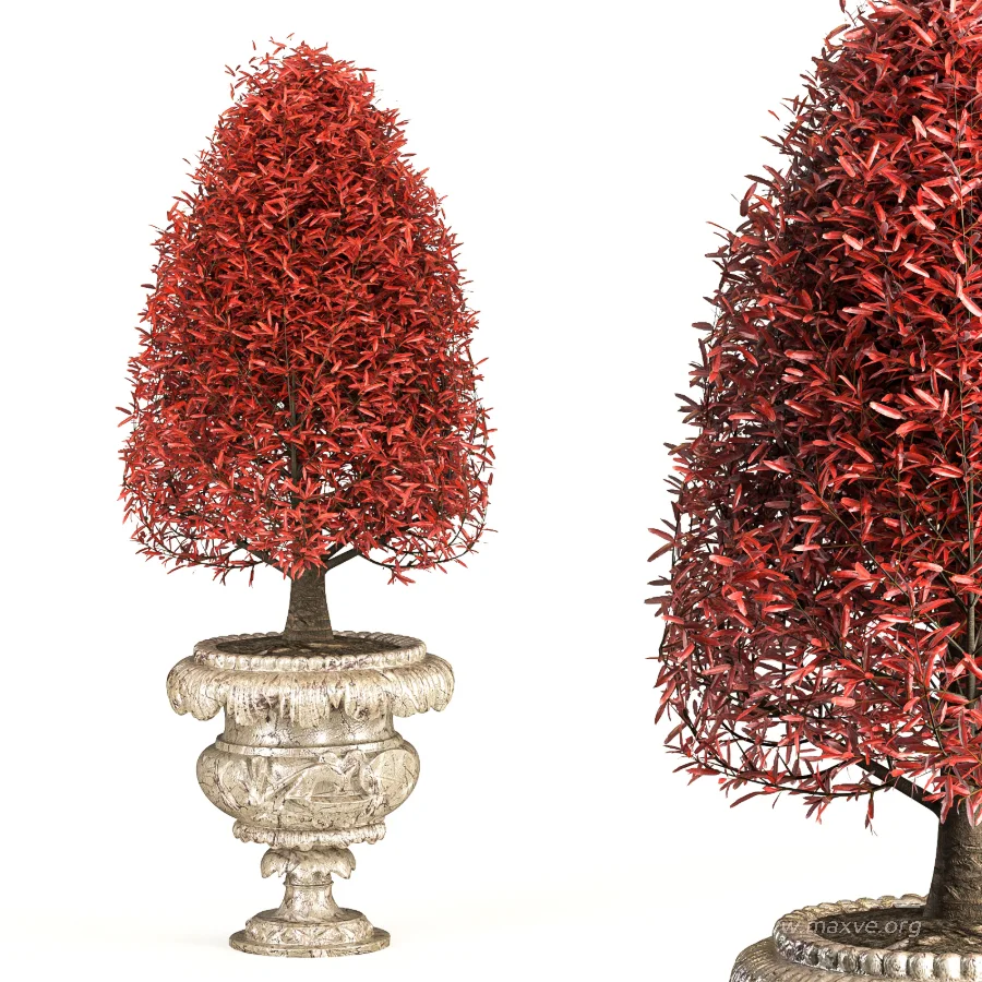 Outdoor Plant 06 – Neoclassical Style - Image 3