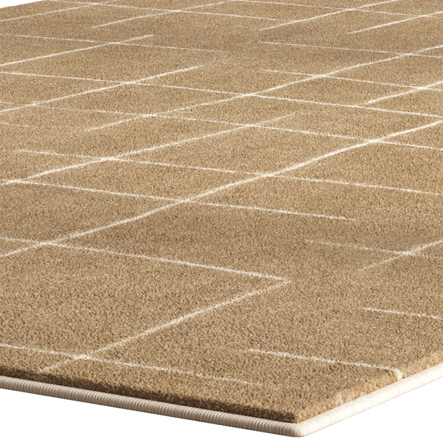 Carpet for interior - Image 3