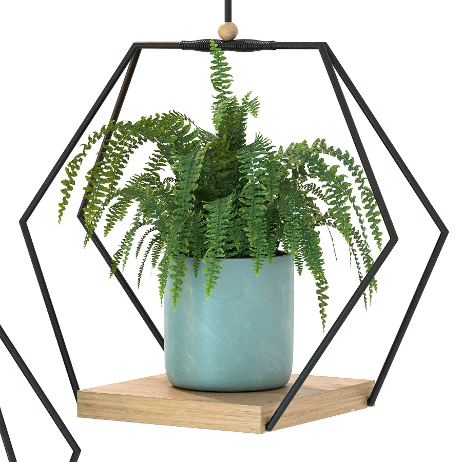 Hanging Plant 06 - Image 4