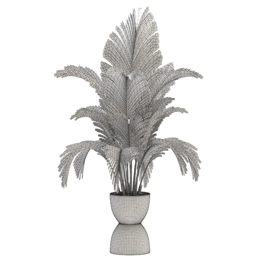 Areca Palm Dypsis Lutescens Indoor Plant - Image 3