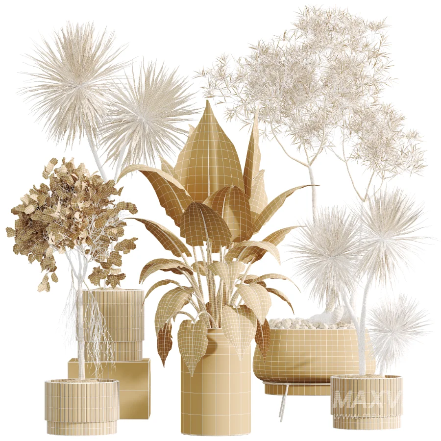 AV Indoor Plants Set 607 Yucca Alocasia Elefantenoh Ficus Marginata Ficus Fig - Image 7