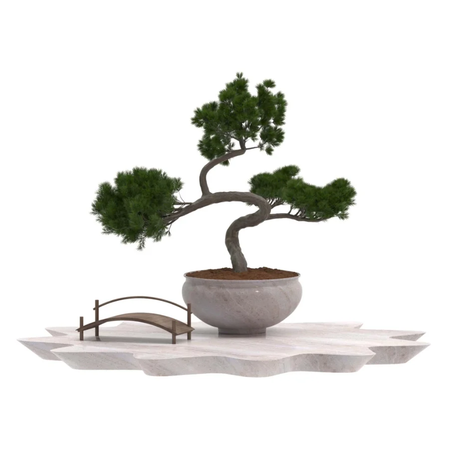 Pine Bonsai Tree-set-004 - Image 2