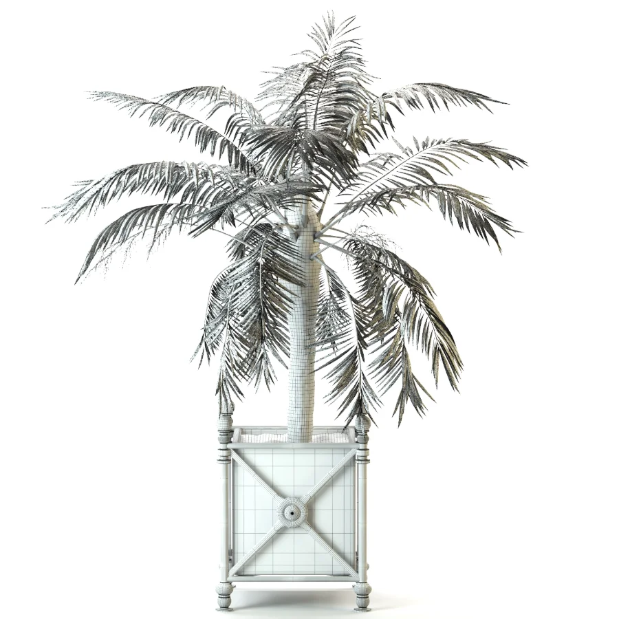 Outdoor Plant 04 – Palm Tree Planter - Image 1