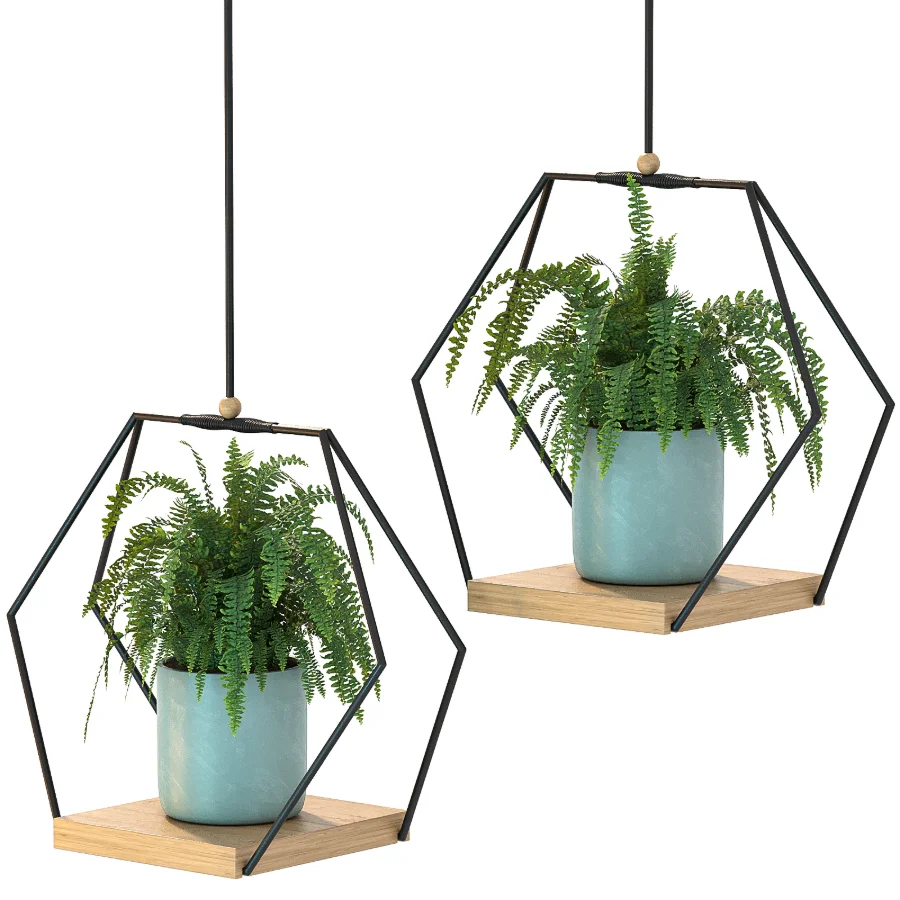 Hanging Plant 06 - Image 3