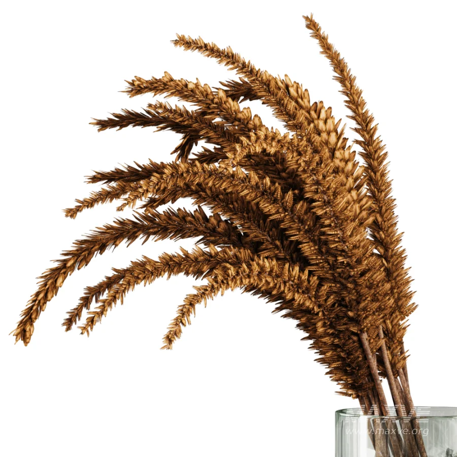 Dried Grass Arrangement with Glass Vase & Fruits - Image 2