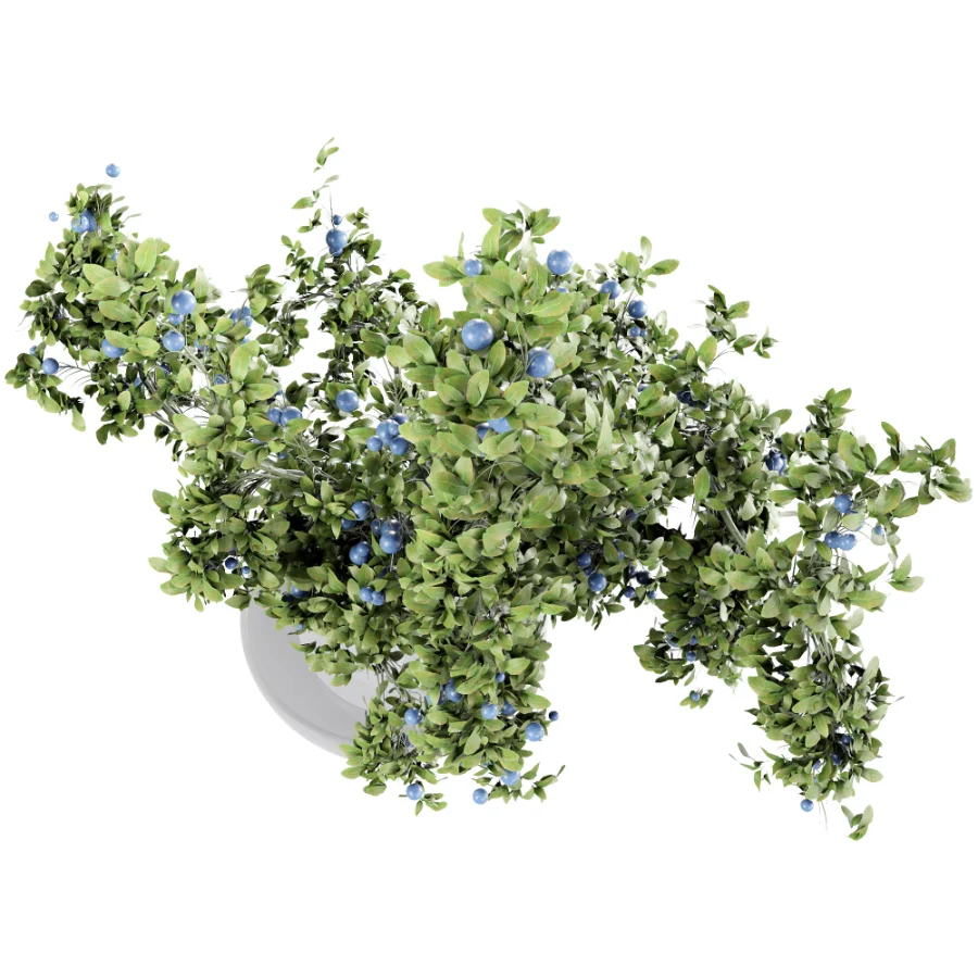 blueberry bouquet in vase - Image 5