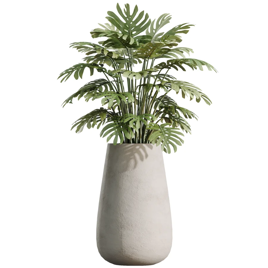AV Indoor Plants Set 527 Olive Lemon Dragon Ficus Dracaena Marginata - Image 2