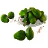 Emerald Pear Collection - Thumbnail 1