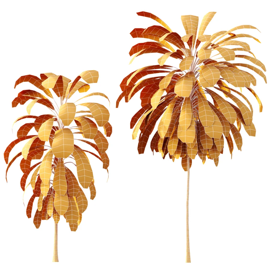 AV Plant Cordyline Petiolaris 6 Palm Tree 01 - Image 8