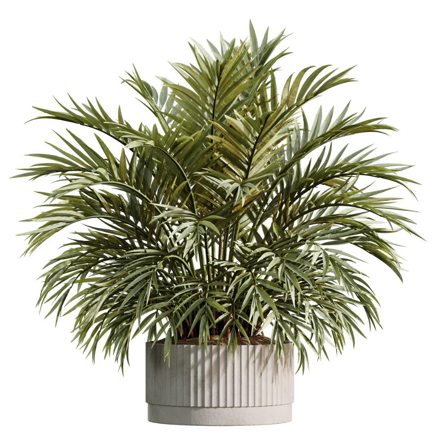 AV Indoor Plants Set 618 Chemlali Olive Areca Palm Eucalyptus Bouquet Bird Of Paradise - Image 1