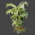 AV Plant Chrysalidocarpus Lutescens Palm Bush 01 - Thumbnail 6