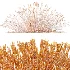 AV Plant Trichophorum Cespitosum Tufted Bulrush Rasenbinse Deer Grass - Thumbnail 9