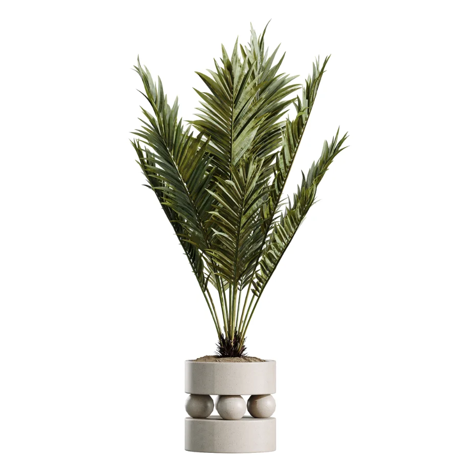 AV Indoor Plants Set 620 Aloe Vera Succulents Ruffled Fan Palm Areca Palm Briful - Image 1