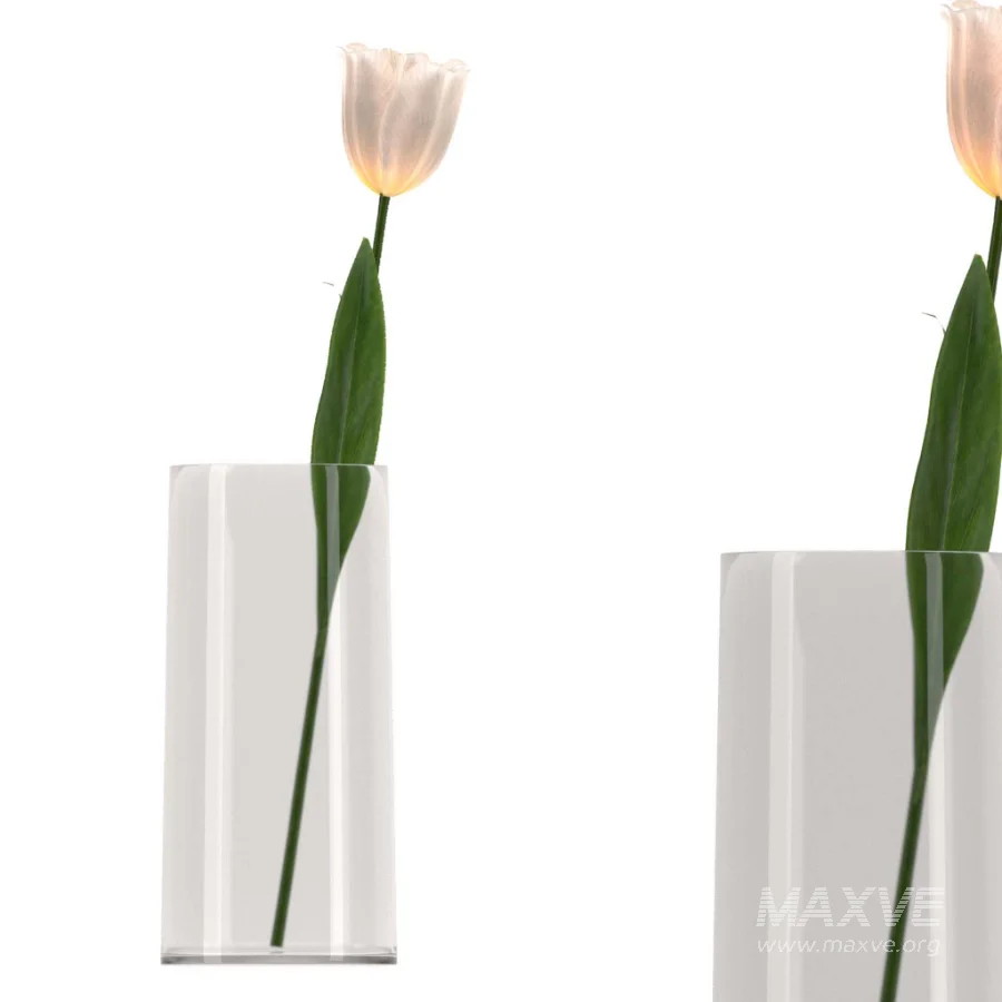 Bouquet of tulips in a glass vase-set001 - Image 2